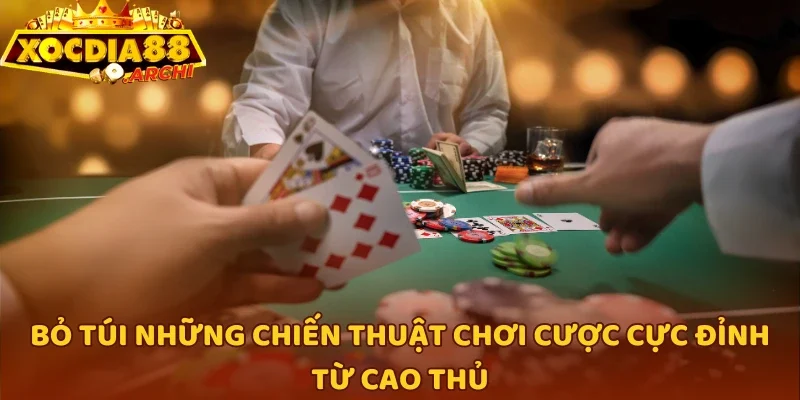 Bỏ túi những chiến thuật chơi cược cực đỉnh từ cao thủ