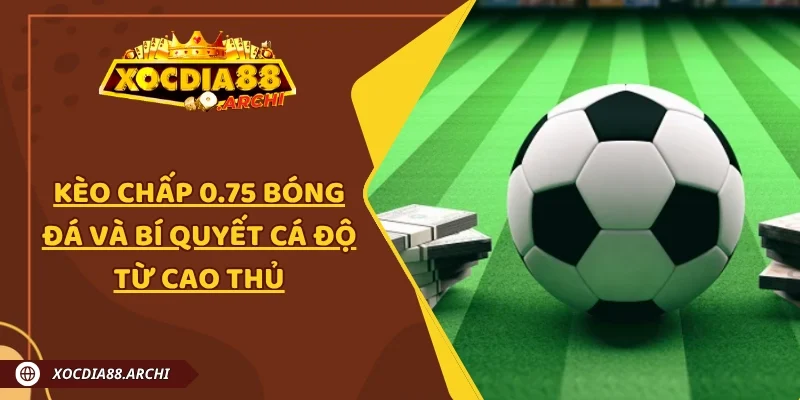 Kèo Chấp 0.75 Bóng Đá Và Bí Quyết Cá Độ Từ Cao Thủ